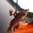 군령포마을 이미지