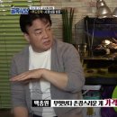 보람푸드 Daum카페