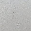 써니캠핑카 이미지