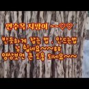 연수목 지팡이 만드는법. 이미지