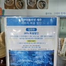 회마농 | 섭지코지 근처맛집 몰마농 그대와함께 해물라면 성산본점 후기