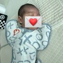식선생 | 산모 신생아 산후도우미 건강관리바우처 서비스 디웰바우처 이금자선생님 추천 후기