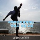 국선도 종합 이미지