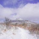 서호동-61 이미지