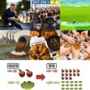기정명품 스피치 과정 | 식욕억제제 탑쉐이프 살이 계속 빠지네요..-26kg