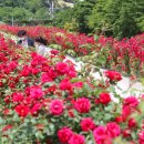 상동체육공원 이미지