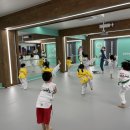 태아일체 다온태권도장 이미지