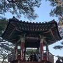 등대 | 양양 하조대 전망대 둘레길 정자 등대 돌아본 후기