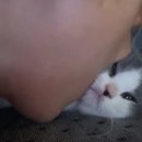 (주)대창 이미지