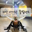 꿀벌 | 괴산 아기랑 가볼만한곳 꿀벌랜드 솔직후기