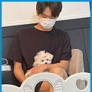 베베호텔 유치원 & 애견스파 | 군포애견호텔 베베호텔 유치원, 애견스파…내 아이가 가장 행복한 곳!