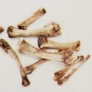 (주)신일환경산업개발 이미지