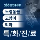 아이디펫 동물병원 | 10살 강아지의 체리아이 치료 케이스 👁️ 수지구 동물병원 진료 후기