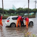 강정동-58 이미지