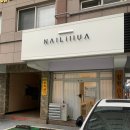 네일 일루아(nail illua)