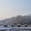 애기봉평화생태공원