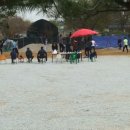 11215-자양2-485 | 일산 맛집 여기 였어요!