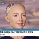 녹색미학 네이버블로그