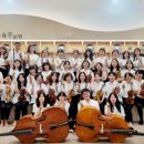 꿀벌랜드 이미지