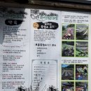 금정산성 창녕집 | 금정산성 맛집 천하대장군집 | 빈찬부터 닭백숙까지 제대로 먹고 온 날