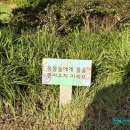 멈무는하루 | [내돈내산] 보령 여행/보령 카페 가볼 만한 곳 추천-우유 창고 솔직 후기