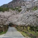 태인농장2 이미지