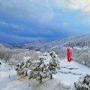 이음 리조트 이미지