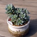 (주)블루빈 이미지