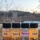 12.2(16) 종합병원(무좀, 염증, 안구건조증, 치흔설, 빈요, 요실금 등)/환원력/종합병원2( 비염, 이명, 기침, 콧물등) 이미지