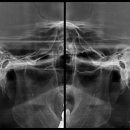 덴하우스구강악안면외과치과의원 이미지