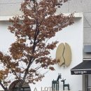 어랏투고 - 강서구 명지오션시티10로 16 | 어랏투고