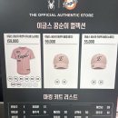 26 이글스 X 꿈순이 어센틱 유니폼 여자사이즈 한화이글스유니폼 구매후기 / 형지샵 꿈순이 반다나 배트