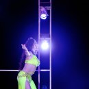 타이거벨리 이미지