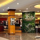 오케이카프라자 이미지