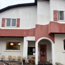 파스타입니다속초점 | 속초가면 가볼만한 리조또 파스타 맛있는 키친온유 속초 솔직후기