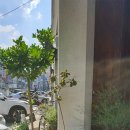 은구비로 이미지