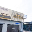 해송갈치