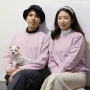 유니댕댕 이미지