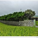 뱃고동 민박 이미지