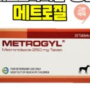 거북이약국 이미지