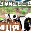 고센목장 이미지