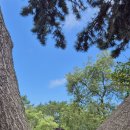 만리포해수욕장 이미지