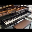 봄피아노교습소 이미지