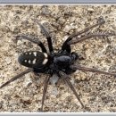 숲속이야기민박 이미지