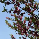 대둔산 글램핑 캠핑장 이미지