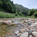 봉화약초민박 이미지