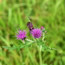 순천왜성 화장실 이미지