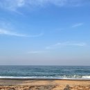 남호해수욕장 이미지