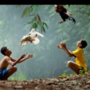 보양산업자원 이미지