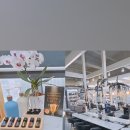 셀레스파